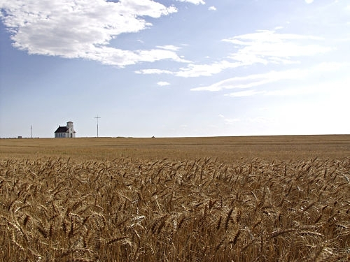 A Scenic View of Ellsworth County