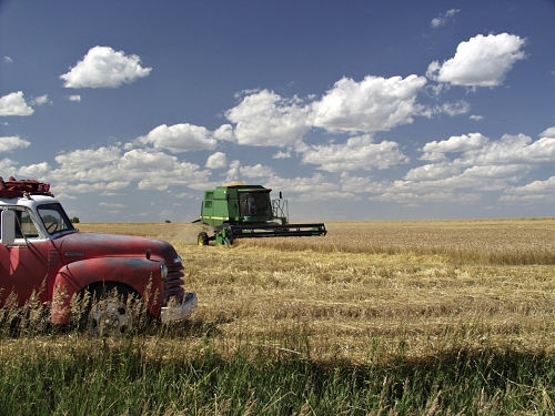 A Scenic View of Ellsworth County