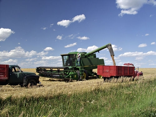 A Scenic View of Ellsworth County