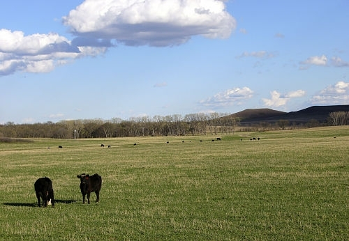 A Scenic View of Ellsworth County